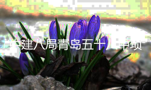 项目八局八中中建主体五十青岛全部封顶